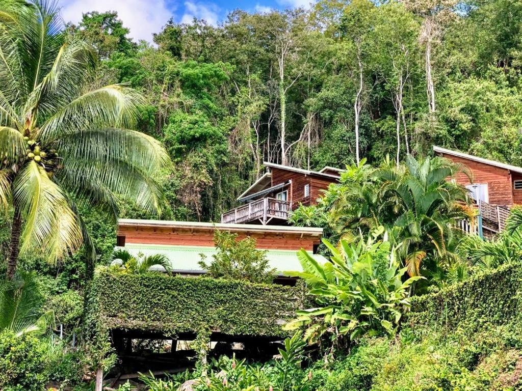 Hotel Le Bougainvillier Blanc Pointe-Noire Esterno foto